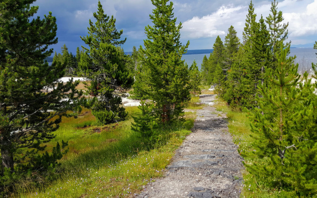 The Best Apps for Your Next Hiking Trip