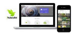 iNaturalist Nautre Identification and Community App | The Best Apps for Your Next Hiking Trip | Spark Explore