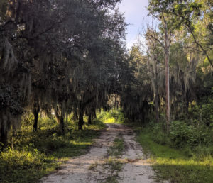 Panther Point Trail along the banks of Lake Hancock | Sunday Morning Hike on Panther Point Trail | Marshall Hampton Reserve in Winter Haven, FL | Spark Explore