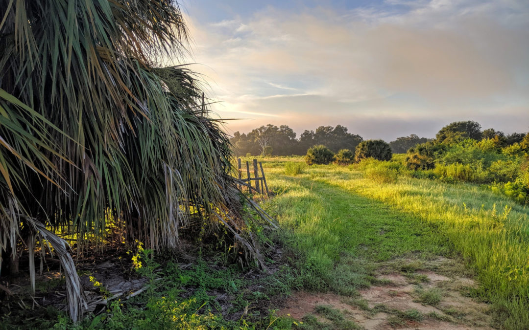 Sunday Morning Hike on Panther Point Trail