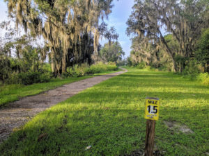 Paved portion of the trail | Sunday Morning Hike on Panther Point Trail | Marshall Hampton Reserve in Winter Haven, FL | Spark Explore