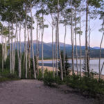 Twin Lakes, Aspen trees, trail | Colorado Trail Day 12