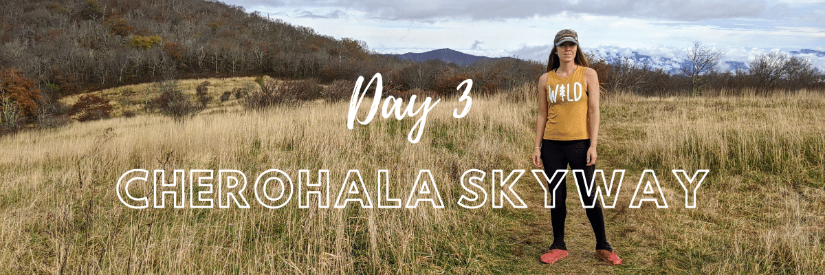 Huckleberry Knob Trail | Cherohala Skyway | A Hiker's Week in North Carolina