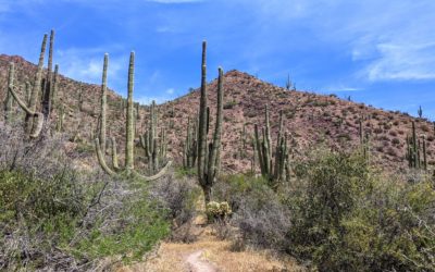 Day 3 〣 Arizona Trail Section Hike